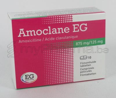 Amoxicillin clavulanate online