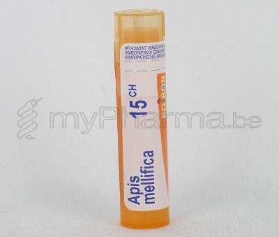 APIS MELLIFICA                   15CH GR 4G BOIRON (homeopatisch geneesmiddel)